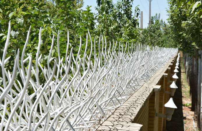 حفاظ بوته ای
